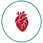 cardiology icon